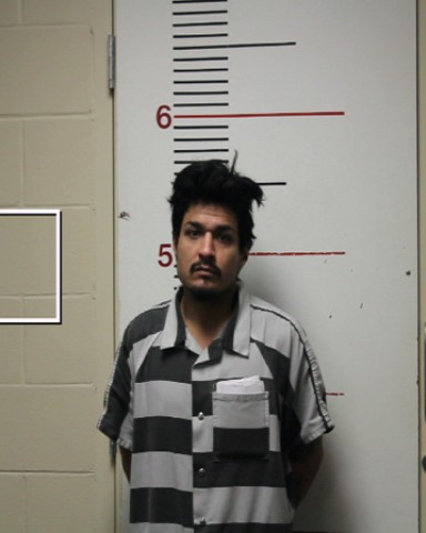 GONZALEZ, HILARIO, Jr. booking photo