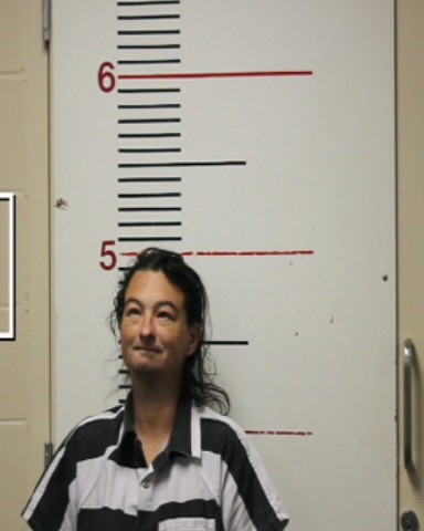 ARMSTRONG, CRYSTAL LYNN booking photo