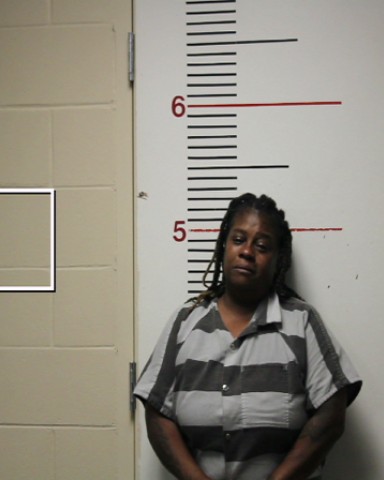 BROWN, KATRINA SHAUNTA booking photo