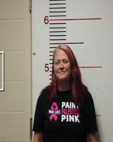 CARWELL, VIRGINIA ANN booking photo