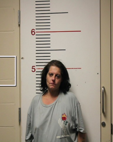 HERNANDEZ, JANEL DENISE booking photo