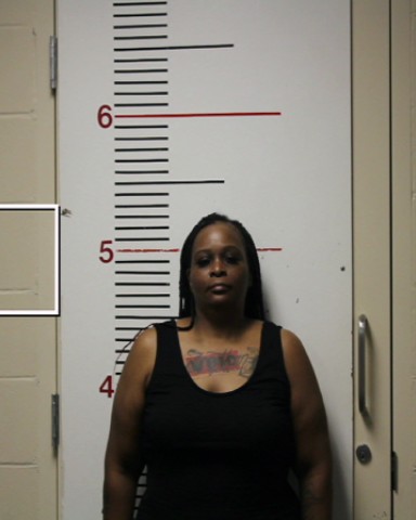 TURNER, NICOLE DENISE booking photo