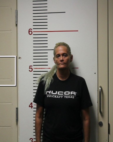 MCGEHEE, AMY LYNN booking photo