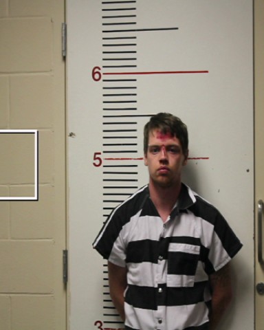 MATHENY, TRISTAN BLAKE booking photo