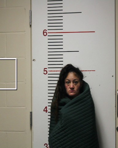 NAGO, LILLY ANN booking photo