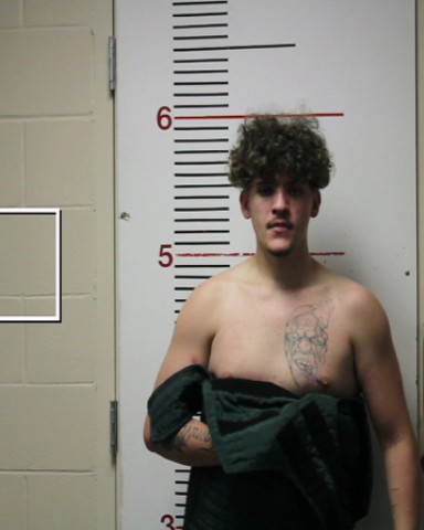 DAVIS, RYLAN PAUL booking photo