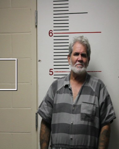 Wiggins, David Lee booking photo