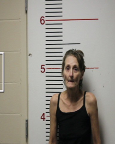 MEREDITH, RACHAEL LEE booking photo