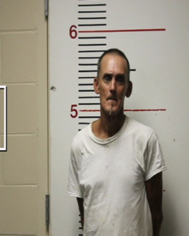 DAVIS, MICHAEL DEAN booking photo