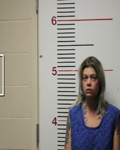 HOLCOMB, KIMBERLEY DIANE booking photo