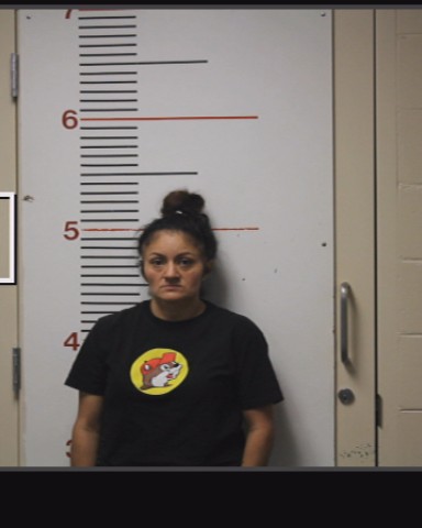 NAGO, LILLY ANN booking photo