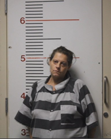 HERNANDEZ, JANEL DENISE booking photo