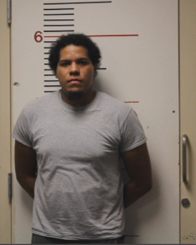 HAYNES, CALEB LEEARION booking photo
