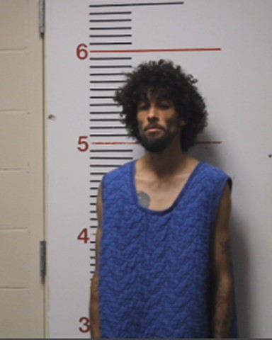 SINGLETON, JUSTIN PARKS booking photo