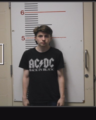 COLLINGSWORTH, CARSON WAYNE booking photo