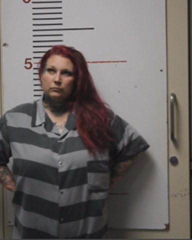 AYALA, SARAH ANGELINE booking photo