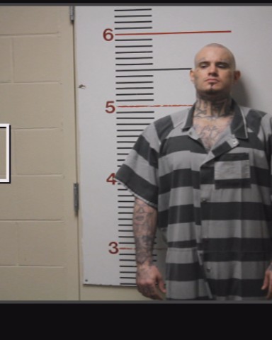 Bandelin, Matthew David booking photo