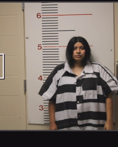 FOX, JASMIN booking photo