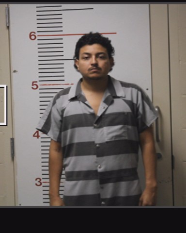 DIAZ, ANDRES FELIPE booking photo