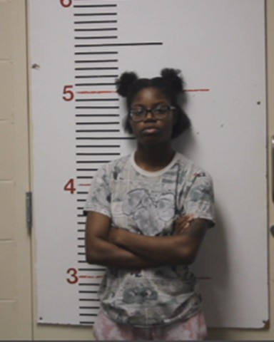 BEAVER, SHANAE LATRESE booking photo