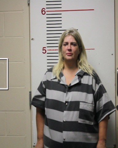 RICHARDSON, SHEILA GAIL booking photo