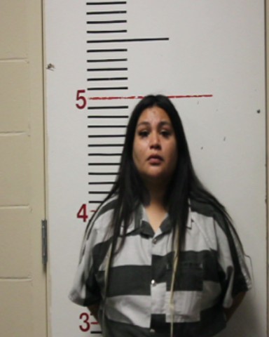 Bardales, Vanessa booking photo