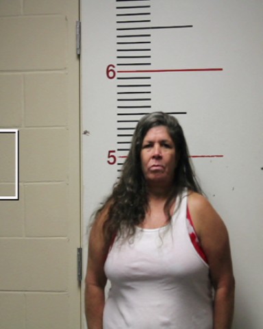 DAVIS, PAMELA DENISE booking photo