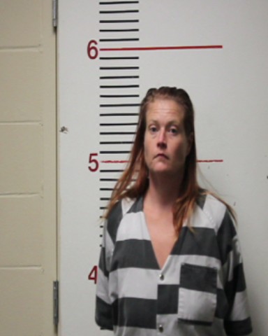 SHIPP, BARBARA IRENE booking photo