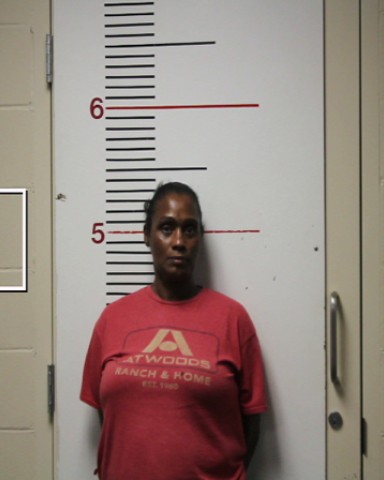 HAMILTON, TIFFANY CHANTEALLE booking photo