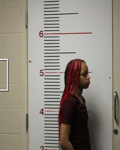 BENSON, CHARNELL M booking photo