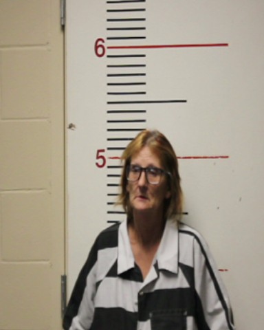 BALLEW, ROBIN RENEE booking photo