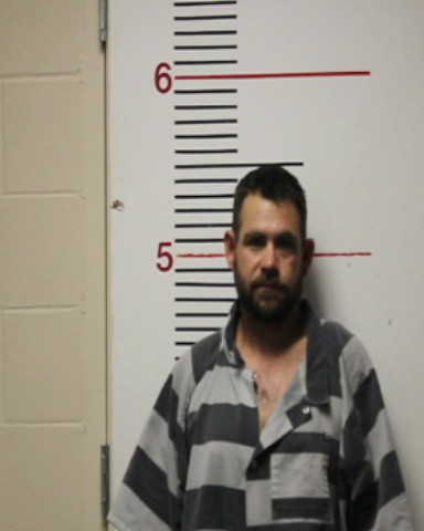 DAWSON, RANDY LEE, Jr. booking photo