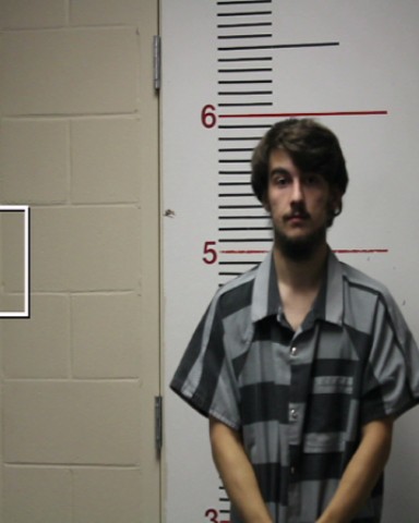 WILSON, DEVIN JAMES booking photo