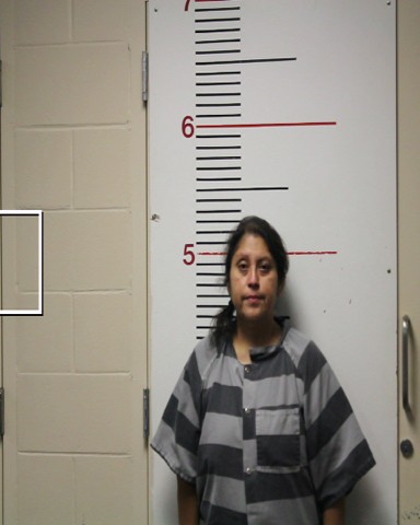 OLIVIO-CALDARON, MARIA EUGENIA booking photo