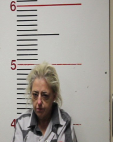 CASTILLO, ROBIN ELAINE booking photo
