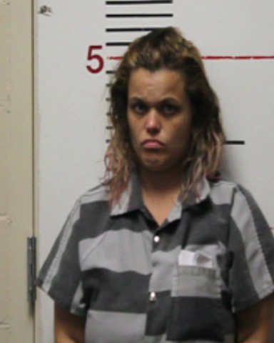 SMALLEY, KIMBERLY CAROL booking photo