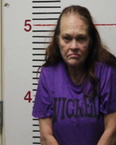 PHILLIPS, MARSHA DEE booking photo