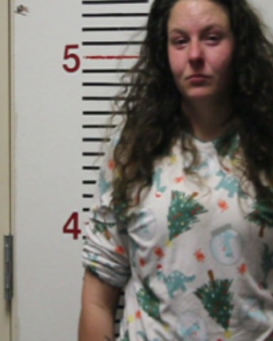 FERGUSON, KATELYNN LEIGHANN booking photo