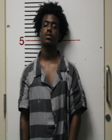 ROBERTS, DAVID LEE, Jr. booking photo