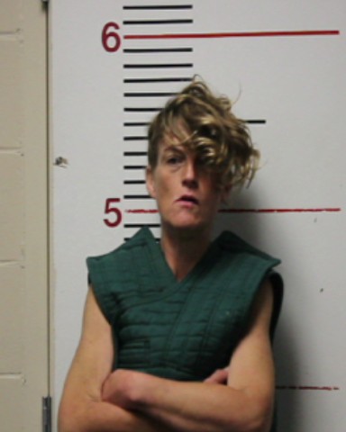 PAROLINI, ASHLEY MICHELE booking photo