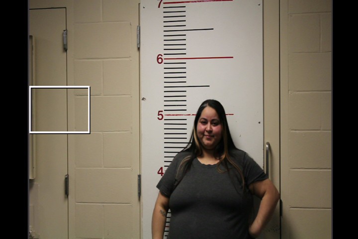 PEREZ, ANGEL LEE booking photo