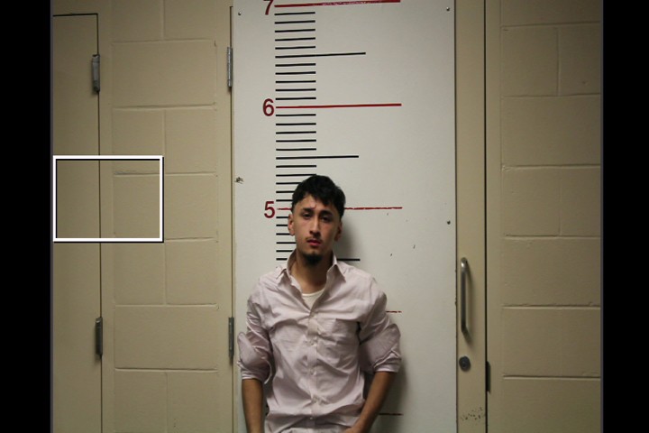 CASTILLO, EMANUEL ISAI booking photo