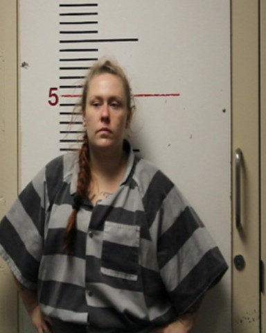 ANNELER, WESLEE MEGAN booking photo