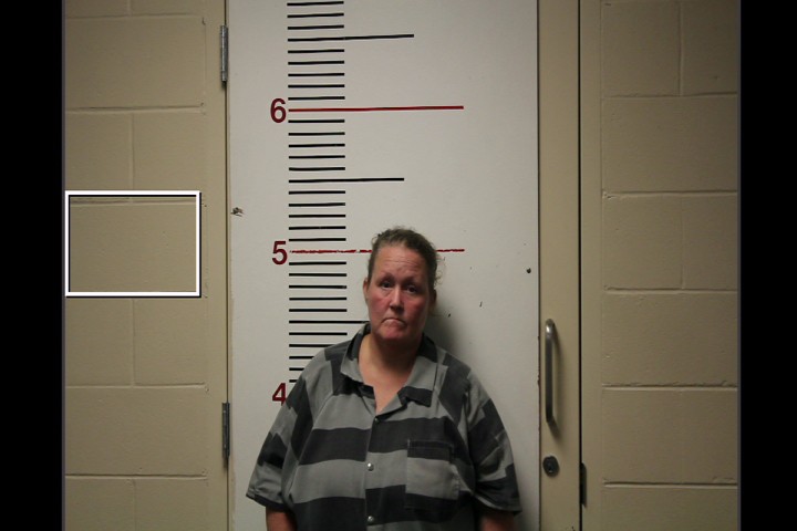 SHOBERT, BRANDY ROSE booking photo