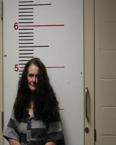 MORTON, JERRILYN booking photo