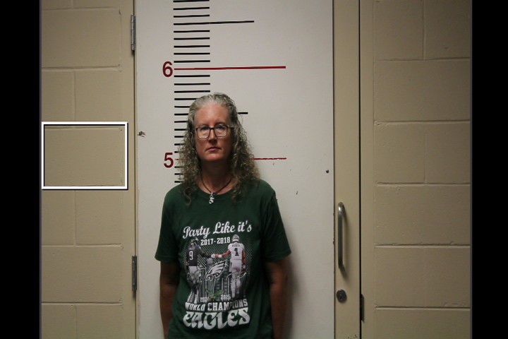 Hoisington, Christy Michelle booking photo