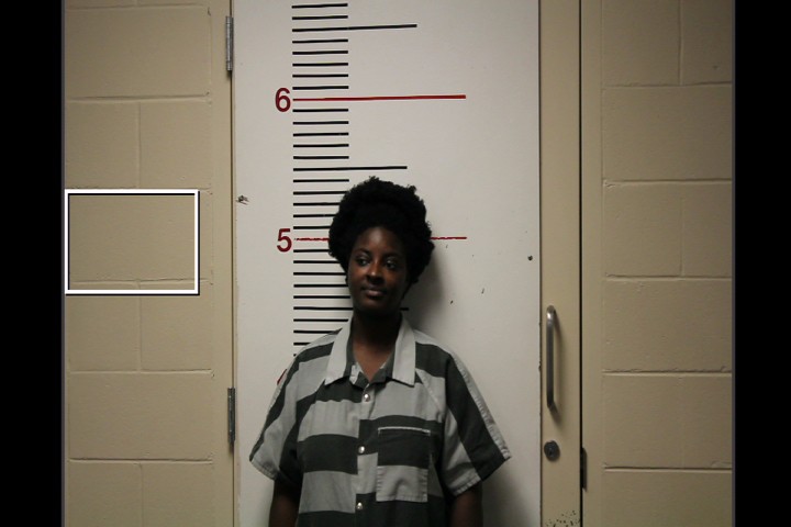 BUTLER, AYANNA DENAY booking photo