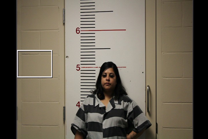 HERNANDEZ, LATICIA RENEE booking photo