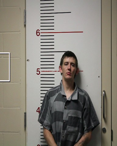 MCDANIEL, ERIC RAY booking photo
