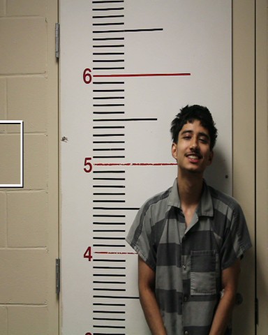 PALACIOS, JULIO ANTONIO booking photo